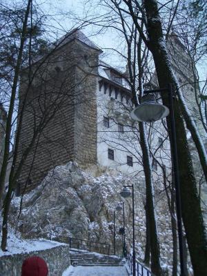 Castelul Bran Castelul Bran